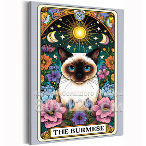 Бурманский кот в цветах Таро Животные Кошки Котики Котята Сиамская Бурма Эзотерика Звездное небо Луна Стильная 80х120 Раскраска 