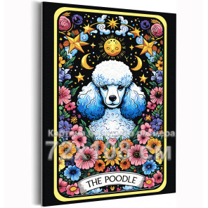 Пудель в цветах Таро Животные Собаки Эзотерика Звездное небо Стильная 72х108 Раскраска картина по номерам на холсте