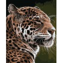 Взгляд леопарда Раскраска картина по номерам на холсте