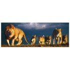 Семья львов панорама Пазлы Educa