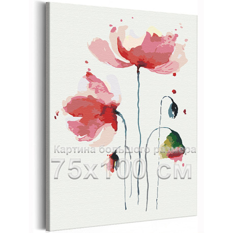 Нежный красный мак Цветы Букет Ботаника Для девушек Интерьерная 75х100 Раскраска картина по номерам на холсте