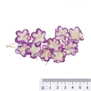 Цветки вишни Фиолетовые с белым Цветы бумажные для скрапбукинга, кардмейкинга Scrapberry's