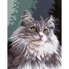 Норвежская лесная кошка Раскраска картина по номерам на холсте