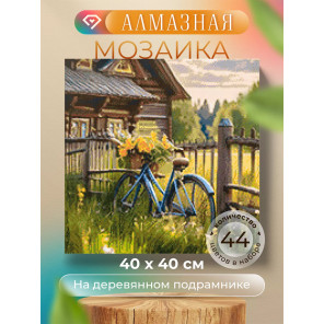  Летний велик Алмазная вышивка мозаика на подрамнике Гранни AGP149