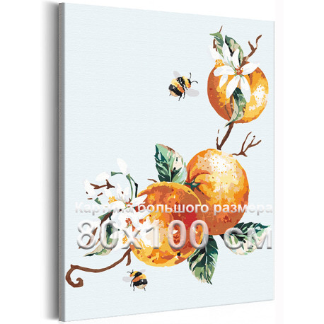 Ветвь с апельсинами и шмели Лето Натюрморт Фрукты Для кухни Интерьерная 80х100 Раскраска картина по номерам на холсте