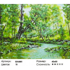 Ручей в лесу Раскраска картина по номерам на холсте