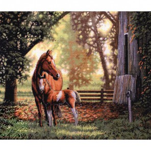 Лошадь с жеребёнком 35260 Набор для вышивания Dimensions ( Дименшенс ) в рамке