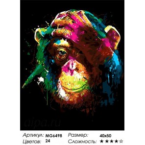 Радужная обезьяна Раскраска картина по номерам акриловыми красками на холсте Menglei