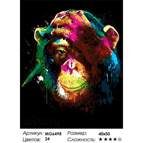 Радужная обезьяна 24 цвета Сложность 4 Раскраска картина по номерам акриловыми красками на холсте Menglei