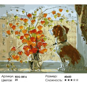 Количество цветов и сложность Собака на окне Раскраска картина по номерам акриловыми красками на холсте