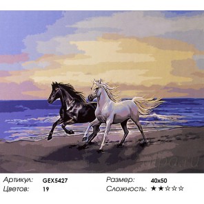 Белый конь и чёрный Раскраска картина по номерам акриловыми красками на холсте