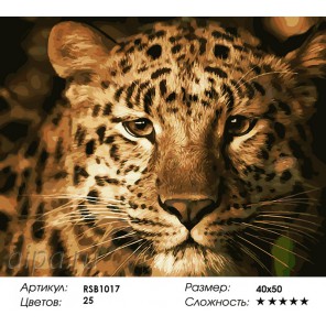 Количество цветов и сложность Дружелюбный леопард Раскраска картина по номерам акриловыми красками на холсте