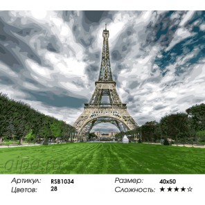 Количество цветов и сложность Символ Парижа Раскраска картина по номерам акриловыми красками на холсте