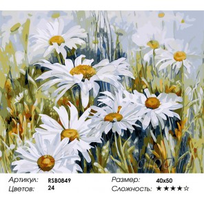 Количество цветов и сложность Ромашки в поле Раскраска картина по номерам акриловыми красками на холсте