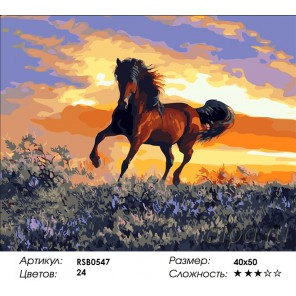Конь на закате Раскраска картина по номерам акриловыми красками на холсте