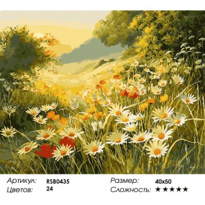 Количество цветов и сложность Ромашковый луг Раскраска картина по номерам акриловыми красками на холсте