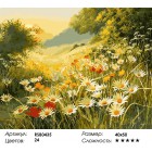 Количество цветов и сложность Ромашковый луг Раскраска картина по номерам акриловыми красками на холсте