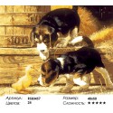 Утенок и щенки Раскраска картина по номерам на холсте