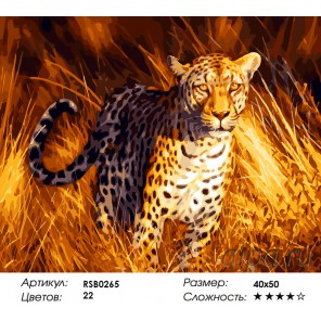Количество цветов и сложность Хищный леопард Раскраска картина по номерам акриловыми красками на холсте