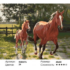 Лошадь и Жеребенок Раскраска картина по номерам акриловыми красками на холсте
