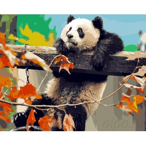 Количество цветов и сложность Лазающая панда Раскраска картина по номерам акриловыми красками на холсте