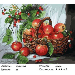 Корзинка яблок Раскраска картина по номерам акриловыми красками на холсте