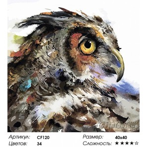 Количество цветов и сложность Проницательная сова Раскраска по номерам акриловыми красками на холсте Color Kit