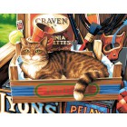 Кошачьи привычки Раскраска картина по номерам акриловыми красками Dimensions
