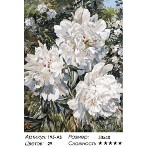 Сложность и количество цветов Пионы в саду Раскраска картина по номерам акриловыми красками на холсте Белоснежка