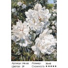 Сложность и количество цветов Пионы в саду Раскраска картина по номерам акриловыми красками на холсте Белоснежка