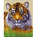 Туранский тигр Канва с рисунком для вышивки Матренин посад