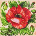 Мак Канва с рисунком для вышивки Матренин посад