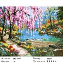 Сакура у реки Раскраска картина по номерам на холсте