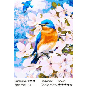 Полёт весны Раскраска картина по номерам акриловыми красками Color Kit