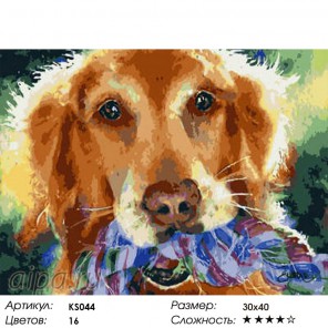Пес Раскраска картина по номерам акриловыми красками Color Kit