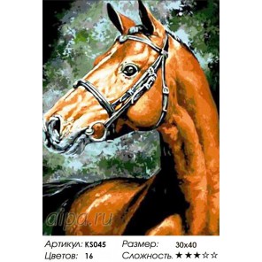Количество цветов и сложность Арабский скакун Раскраска картина по номерам акриловыми красками Color Kit