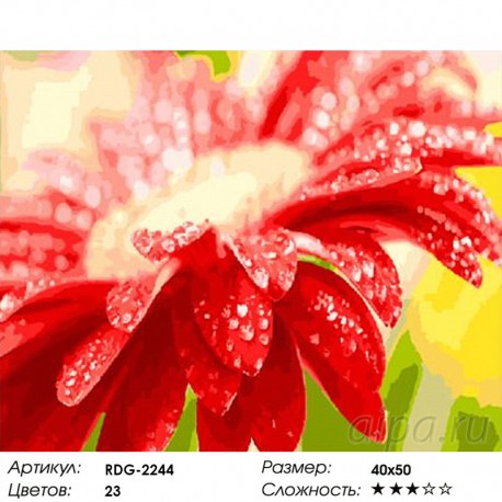 Количество цветов и сложность Яркая гербера Раскраска картина по номерам акриловыми красками на холсте