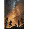Звездное небо Алмазная вышивка мозаика Гранни