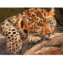 Задумчивый леопард Раскраска картина по номерам на холсте 