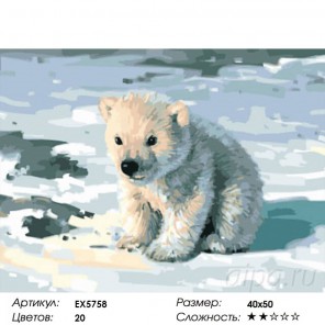 Количество цветов и сложность Милый медвежонок Раскраска картина по номерам акриловыми красками на холсте