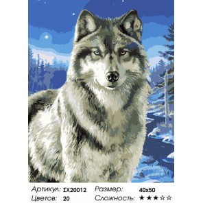 Количество цветов и сложность Волк в заполярье Раскраска картина по номерам акриловыми красками на холсте