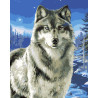 Волк в заполярье Раскраска картина по номерам акриловыми красками на холсте 