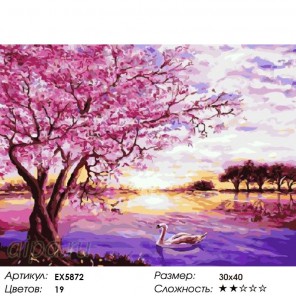 Сакура и лебедь на закат Раскраска картина по номерам на холсте