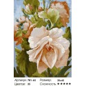 Роза Раскраска картина по номерам на холсте Белоснежка