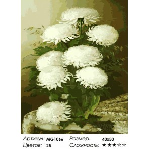 Белые хризантемы Раскраска картина по номерам на холсте Menglei