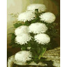 Белые хризантемы Раскраска картина по номерам на холсте Menglei