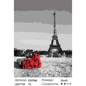 Букет из Парижа Раскраска картина по номерам на холсте