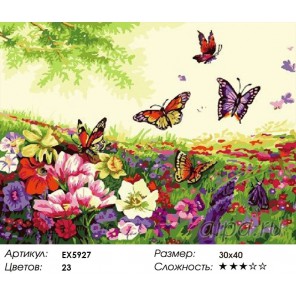 Бабочки на лугу Раскраска картина по номерам на холсте