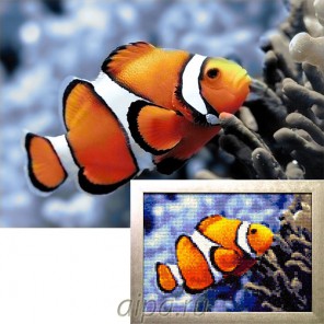 Готовая работа Рыбка-клоун Алмазная вышивка мозаика Гранни
