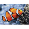 Раскладка Рыбка-клоун Алмазная вышивка мозаика Гранни